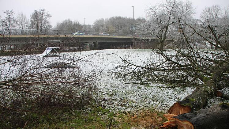 Holzfällarbeiten entlang des Hochwasserdamms.Heike Beudert