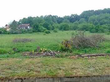 Das Baugebiet "Weber" in Weißenohe Foto: Petra Malbrich