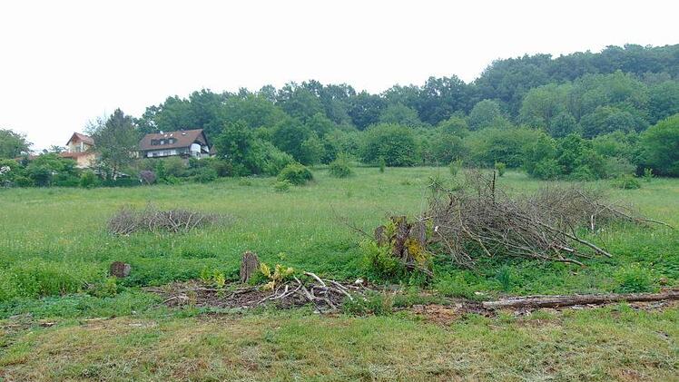 Das Baugebiet "Weber" in Weißenohe Foto: Petra Malbrich