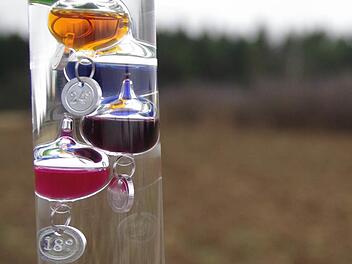 Grüne Wälder, braune Felder - vom Winter ist bislang keine Spur. Die Temperaturen erreichten im November und sogar noch im Dezember häufig zweistellige Werte. Foto: Marco Meißner