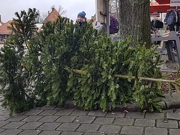 Wer seinen Tannenbaum nicht weiterverwenden sondern entsorgen will, sollte einiges beachten. "Ein alter Christbaum gilt als Abfall", betont Heinrich Kögel, Leiter für Abfallwirtschaft im Landkreis.  Foto: Ronald Heck