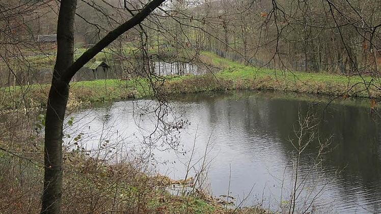 Die Oberbacher Kläranlage, die geradezu idyllisch im Sinntal liegt, arbeitet gut und ist noch länger genehmigt. Foto: Johanna Kellermann