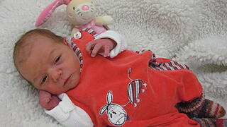 Babygalerie 335 Babygalerie 335