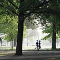 Wald, Park und Seen - in Nürnberg und Umgebung lassen sich die unterschiedlichsten Laufstrecken finden. Symbolfoto:    wal_172619/pixabay
