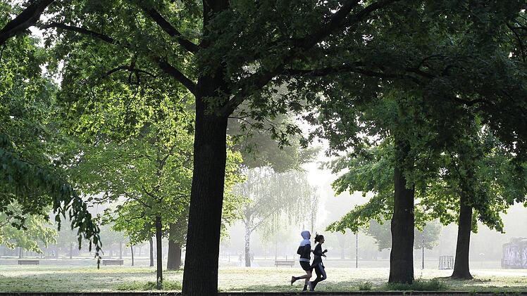 Wald, Park und Seen - in Nürnberg und Umgebung lassen sich die unterschiedlichsten Laufstrecken finden. Symbolfoto:    wal_172619/pixabay