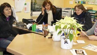 Auch Hasenbabies gibt es im Tierheim Unternesselbach.