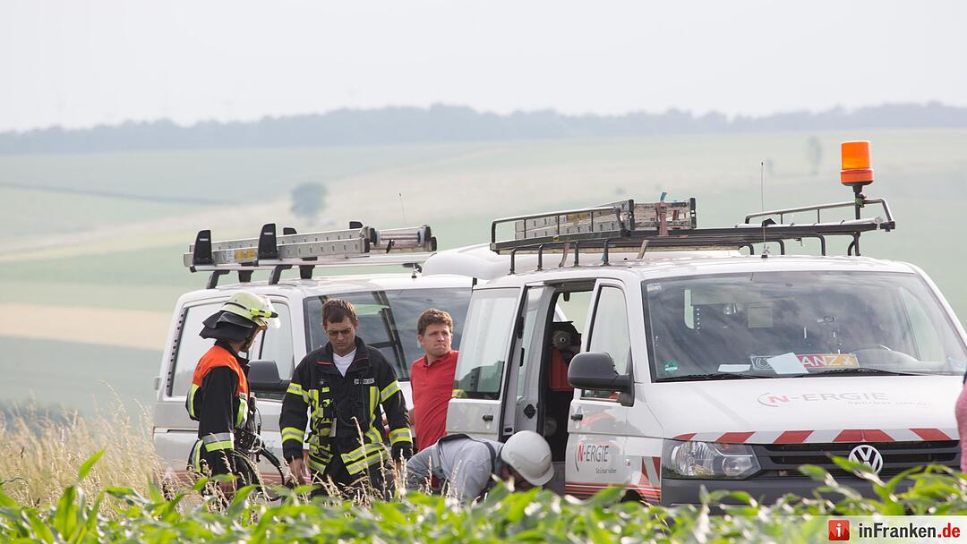 Katze Molli löst Feuerwehreinsatz aus
