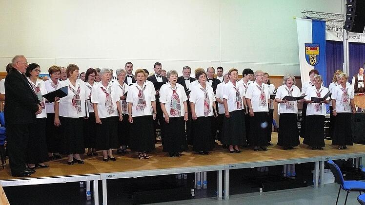 Der Gemischte Chor aus Pilisszentivan steuerte unter der Leitung von Franz Neubrandt zur Partnerschaftsfeier drei Hymnen bei.