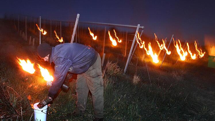 Kellermeister Johannes Weickert entzündet am 16.04.2014 kurz vor Sonnenaufgang in den Weinbergen bei Bimbach (Bayern) mit Paraffin betriebene Frostkerzen um die Reben vor der Kälte zu schützen. Foto: Karl-Josef Hildenbrand/dpa