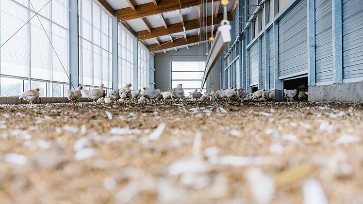 Foto: Marian Hamacher