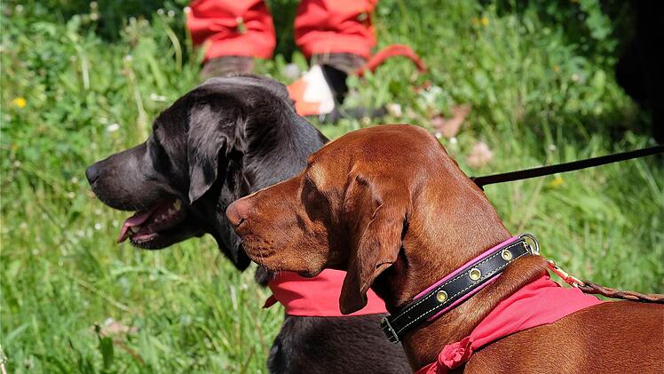 Blaulichttag in Hammelburg  Foto: Gerd Schaar