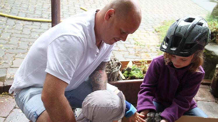 Die flauschig weichen Küken wurden gerne von Kindern aus ihrer Box geholt.
