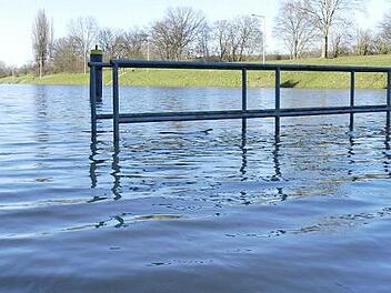 An der Limbacher Schleuse sah man das Hochwasser ganz gut. Inzwischen fließt das Mainwasser zügig ab, in zwei Tagen dürfte das normale Maß wieder erreicht sein. Foto: Julia Scholl