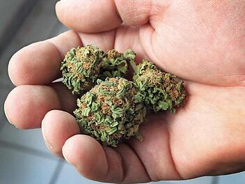 Cannabisblüten hat der Angeklagte in Keksen verarbeitet. Foto: Karl-Josef Hildenbrand/dpa