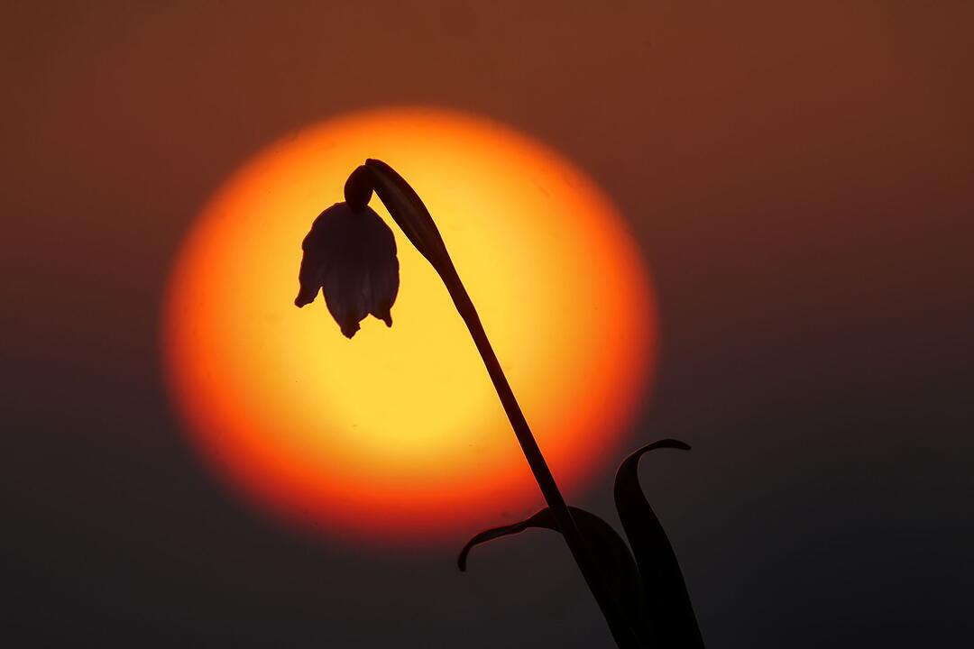Sonnenaufgang in Baden-W&uuml;rttemberg