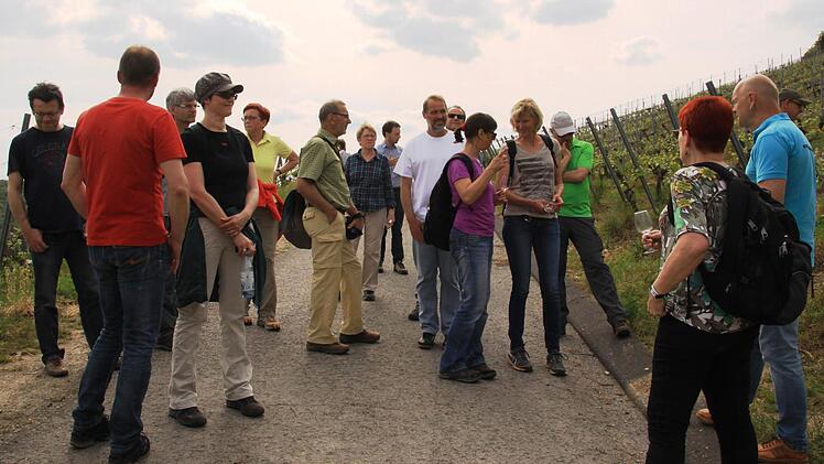 Bernhard Gößmann-Schmitt erklärte den Teilnehmern der Grünen-Wanderung den Weinanbu in Ramsthal. Foto: Grüne