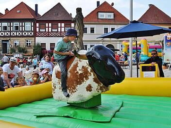 Wie beim echten Rodeo hält man sich beim Bullriding nur mit einer Hand fest. Da hieß es nicht nur gut zupacken, sondern auch mit den Beinen den Bullen festumschließen, um sich möglichst lange auf dessen Rücken zu halten. Foto: Ingrid Kohles