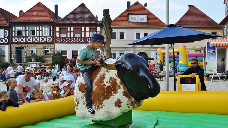 Wie beim echten Rodeo hält man sich beim Bullriding nur mit einer Hand fest. Da hieß es nicht nur gut zupacken, sondern auch mit den Beinen den Bullen festumschließen, um sich möglichst lange auf dessen Rücken zu halten. Foto: Ingrid Kohles