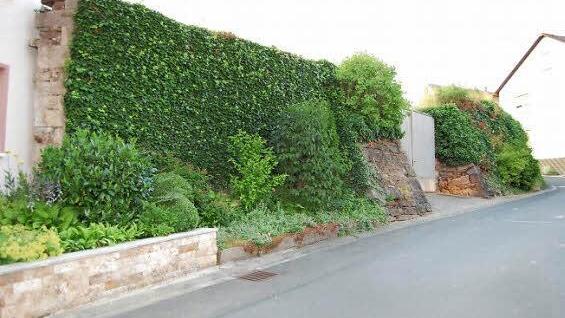 Schön anzusehen, aber dennoch sanierungsbedürftig: Die historische Klostermauer in Thulba.