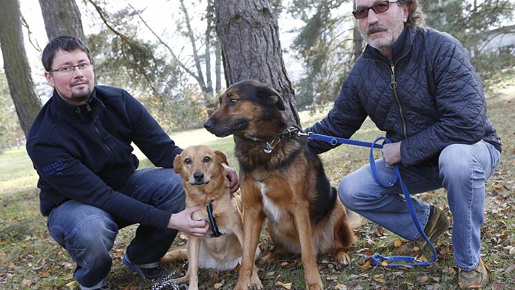 Thorsten Raab (l.) und Johann Bachmaier mit ihren eigenen Hunden: Vierbeiner aus dem Tierheim dürfen sie nicht mehr ausführen. Foto: Matthias Hoch