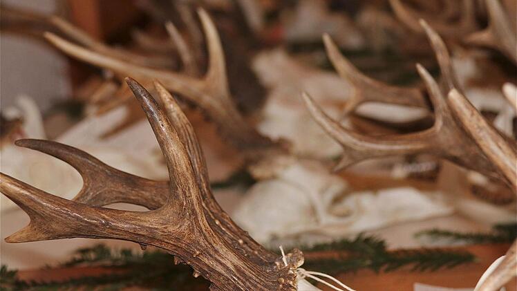 Hegeschau in Obererthal  Foto: Gerd Schaar