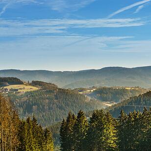 Die schönsten Fotos im Februar aus Kronach und Umgebung