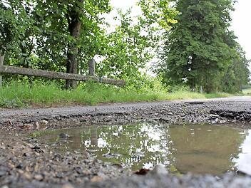 Der Weg von Ebrach ins Handthal zählt im Kernwegenetzkonzept zu denen, die als erste ausgebaut werden sollen. Foto: Anette Schreibert