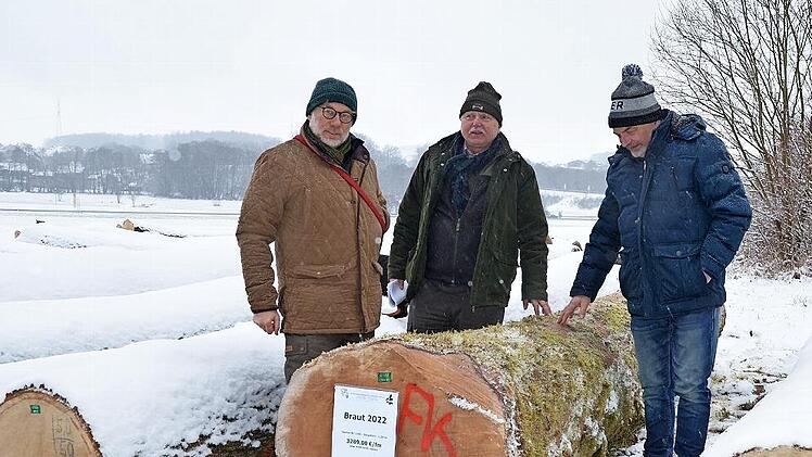 Bernd Lauterbach, Manfred Herter und Wolfgang Schultheiß begutachten die Braut - einen Bergahorn-Stamm.