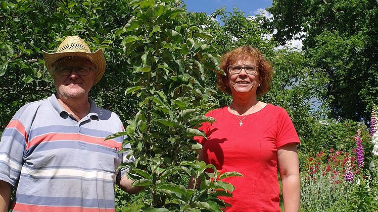 Marion und Michael Herbert an einem ihrer vielen Versuche, einem Spalierbaum.