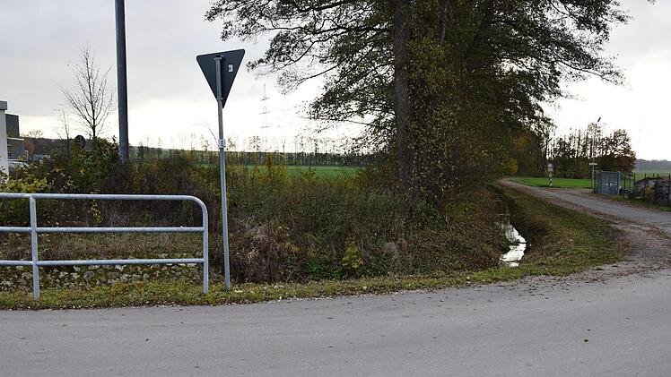 Diese Senke des Gänseweggrabens übernimmt künftig die Funktion eines Rückhaltebeckens für die gedrosselte Ableitung des Niederschlagswassers. Foto: Udo Billen