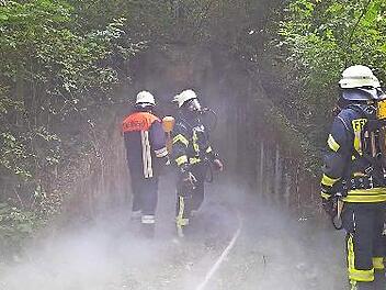 Bei einer Übung ging es für die Freiwillige Feuerwehr Steinach in den Wald.