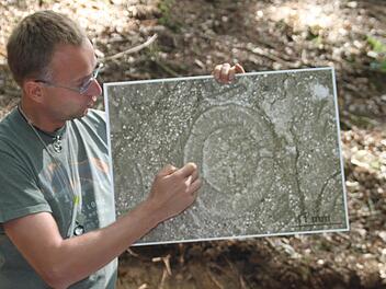 Thomas Wotte von der Universität Köln zeigt eine Vergrößerung der versteinerten Kelchtiere (Archaeocyathen). In Wirklichkeit ist der Kreis in der Mitte nur etwas über einen Millimeter groß. Fotos: Jürgen Gärtner