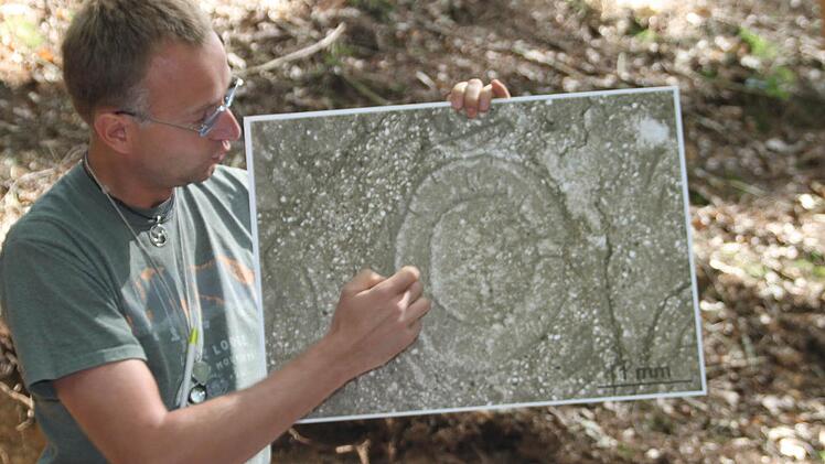 Thomas Wotte von der Universität Köln zeigt eine Vergrößerung der versteinerten Kelchtiere (Archaeocyathen). In Wirklichkeit ist der Kreis in der Mitte nur etwas über einen Millimeter groß. Fotos: Jürgen Gärtner