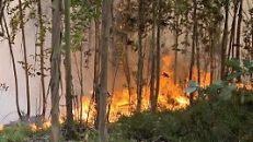 Symbolbild, Foto: Peter Kneffel/dpa