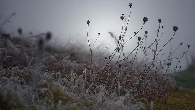 Foto: Britta Pedersen/dpa