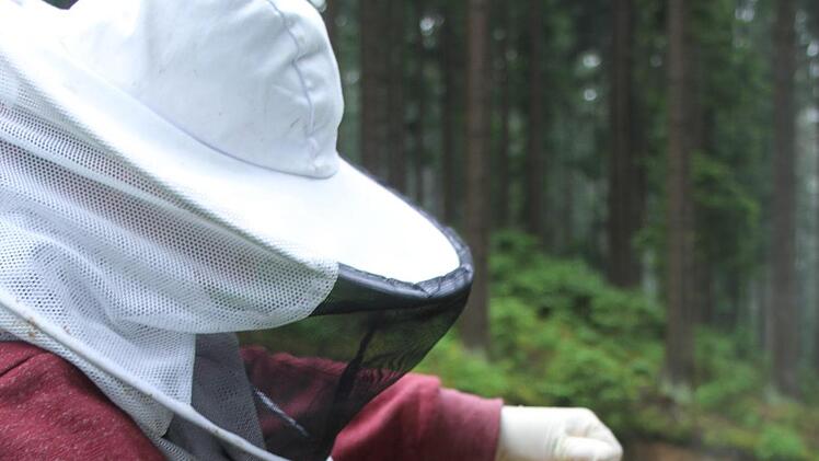 Thorsten Hugel freut sich &uuml;ber die Bienenfreundlichkeit der Bayerischen Staatsforsten. Foto: Sonny Adam