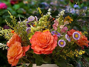 Pünktlich zum Valentinstag: Preis-Schock bei Rosen, Tulpen und Co. Pünktlich zum Valentinstag: Preis-Schock bei Rosen, Tulpen und Co.