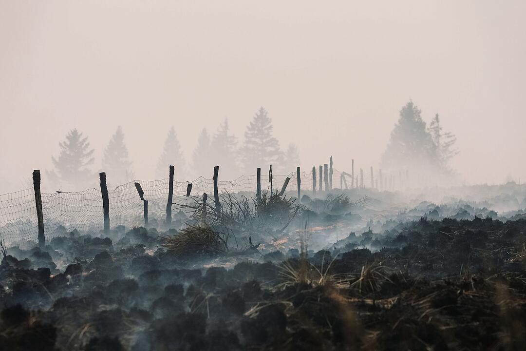 Waldbrand im Hohen Venn