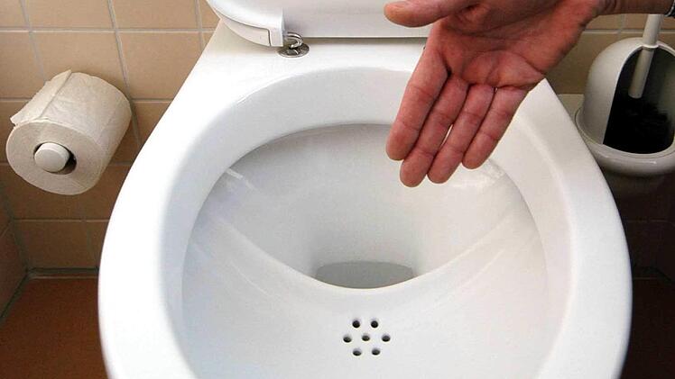 Menschlichen Urin getrennt auffangen und recyceln? In Zeiten von Rohstoffknappheit ein durchaus lohnendes Ziel. Mit solchen Toiletten lässt sich das auch zu Hause bewerkstelligen.