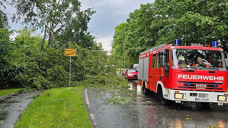 Feuerwehr Neustadt nach Unwetter-Einsatz mit rührender Aktion: "wollen Danke sagen"