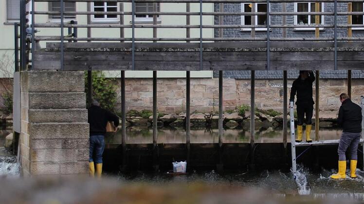 Bei "Kronach leuchtet 2016" war das blau angestrahlte Steinwehr vor dem Stadtaufbau ein Hingucker. Auf Initiative von Winfried Lebok wurde gestern von der Firma Illumics eine vergleichbare Beleuchtung installiert. Foto: Marian Hamacher