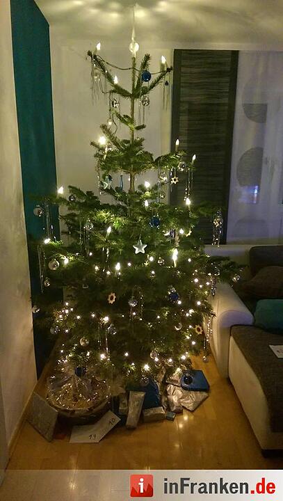 Weihnachten in Franken: Die Christbäume unserer Leser