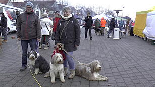 Hunde im Weihnachtskostüm: tierischer Weihnachtsmarkt in Haßfurt lockt hunderte Besucher