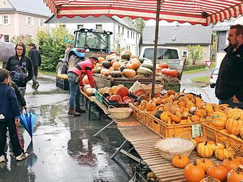 Ein ganze Wagenladung mit kiloschweren Kürbissen fand auch in diesem Jahr wieder reißenden Absatz. Fotos: Klaus Klaschka