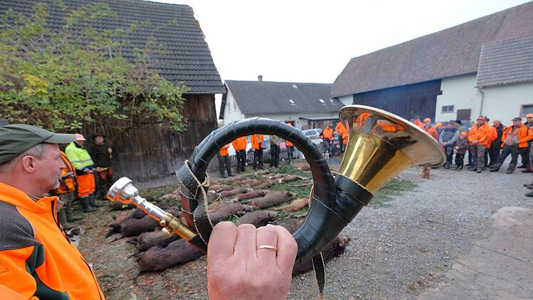 Die Strecke der erlegten Tiere wurde stilgerecht von der Bläsergruppe des BJV-Kreisgruppe Hammelburg verblasen. Gerd Schaar