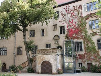 Das Graf-Luxburg-Museum soll zur Saison 2020 wieder geöffnet sein. Künftig können Menschen mit Handicap bequem im Aufzug (siehe rechts) ins Schloss gelangen.  Foto: Isolde Krapf