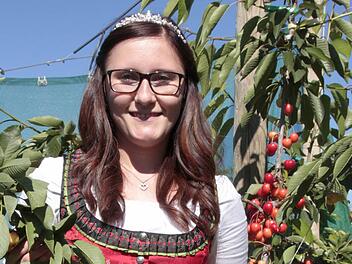 In der Kirschenplantage der Eltern in Lützeldorf fühlt sich Sandra wohl.  Foto: Josef Hofbauer