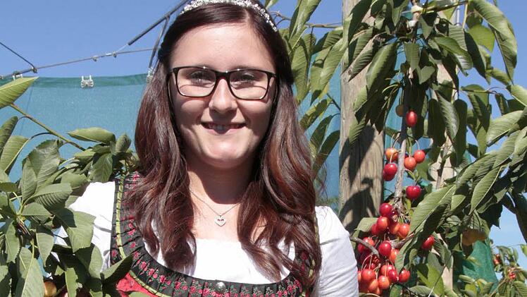 In der Kirschenplantage der Eltern in Lützeldorf fühlt sich Sandra wohl.  Foto: Josef Hofbauer