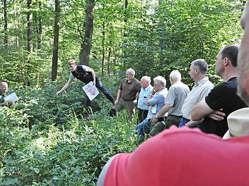 Forstanwärter Leo Hartinger (Mitte) erläuterte dem Gemeinderat und Gästen den Nachwuchs im Wald. Mit im Bild Förster Wolfgang Meiners (links)und Forstoberrat Jürgen Hahn (3. von links).