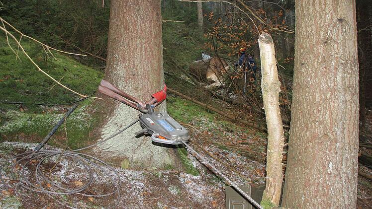 Die Stahlseile, die zur Sicherung dienten, wurden an Bäumen befestigt. Foto: Friedwald Schedel